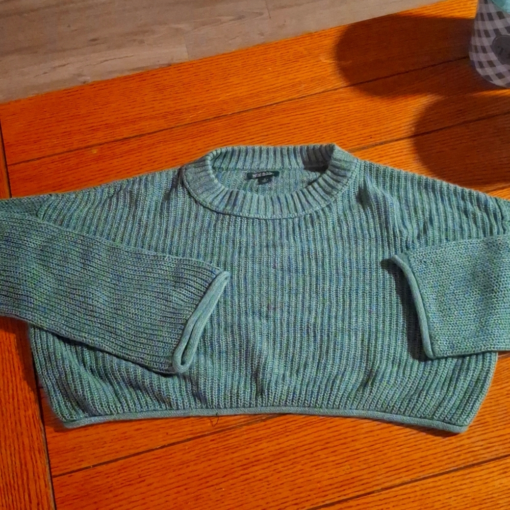 Wild fable crop top sweater long sleeve